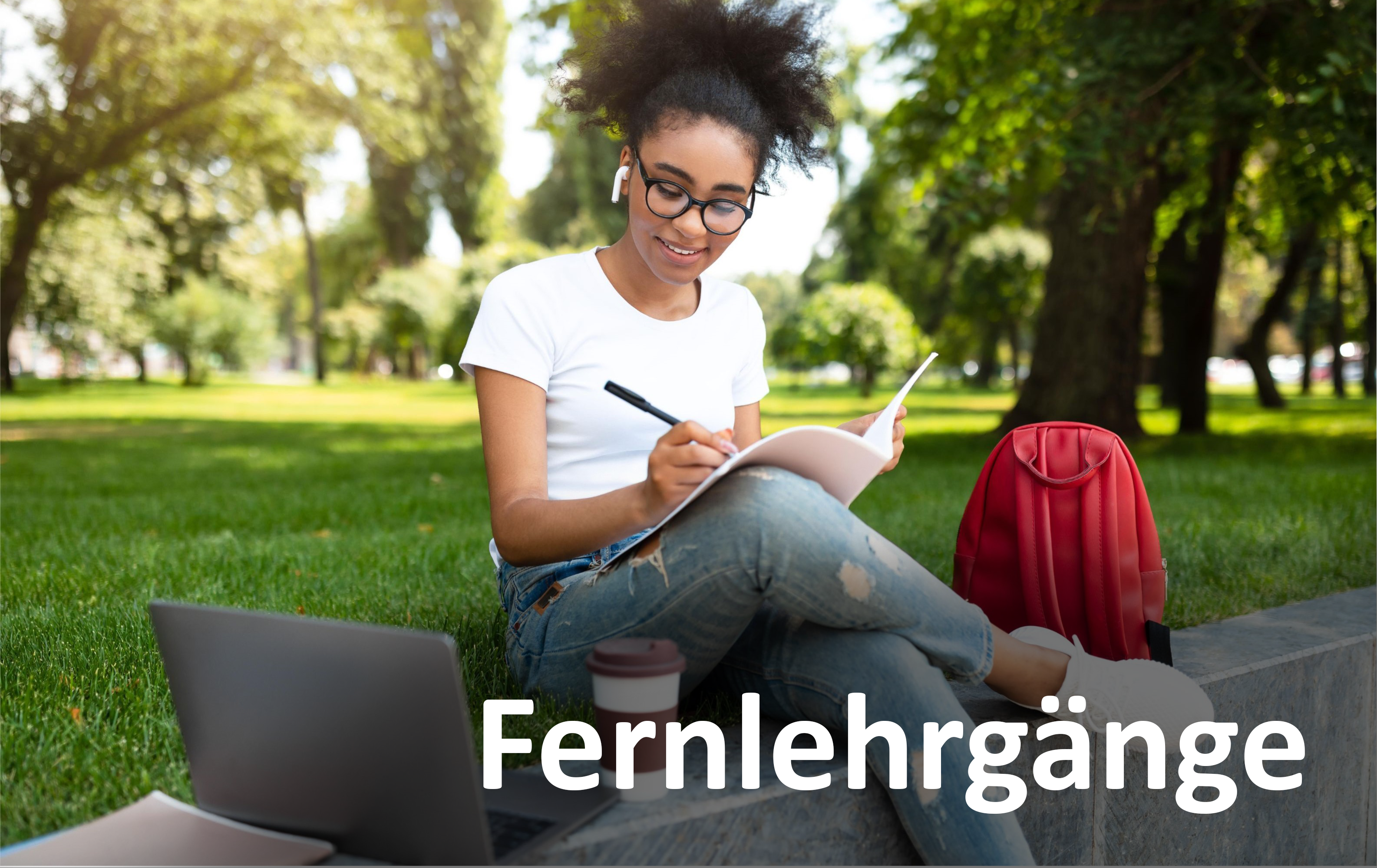 Fernlehrgaenge